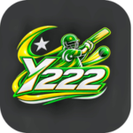Y222 game